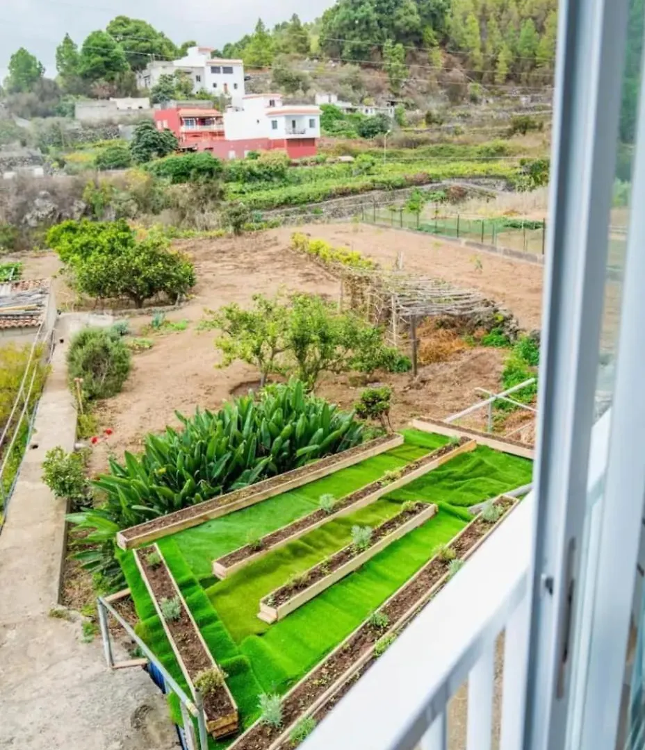 Loft Vista Al Teide Apartman Icod de los Vinos